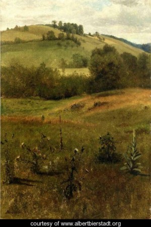 Oil green Painting - Green Mountains, Vermont by Bierstadt, Albert