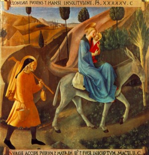 Oil angelico, fra Painting - Flight to Egypt by ANGELICO, Fra