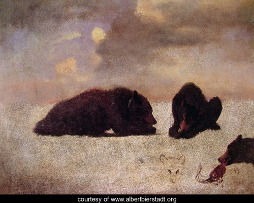 Grizzly Bears by Bierstadt, Albert