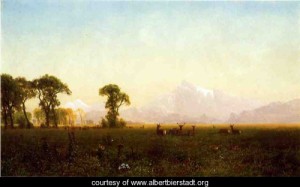 Oil bierstadt, albert Painting - Deer Grazing Grand Tetons Wyoming by Bierstadt, Albert