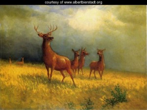 Oil bierstadt, albert Painting - Deer in a Field by Bierstadt, Albert