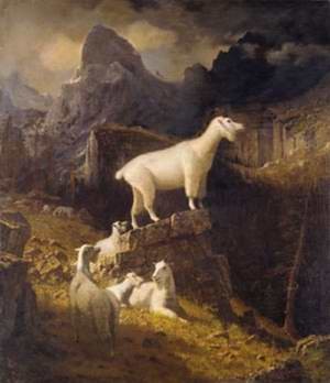Oil mountain Painting - Rocky Mountain Goats by Bierstadt, Albert