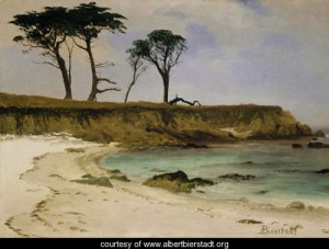 Oil sea Painting - Sea Cove by Bierstadt, Albert