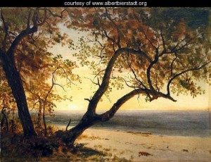 Oil landscape Painting - Untitled [Landscape in Florida or the Bahamas] by Bierstadt, Albert