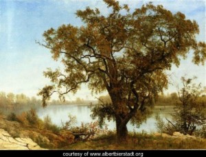 Oil bierstadt, albert Painting - View From Sacramento by Bierstadt, Albert