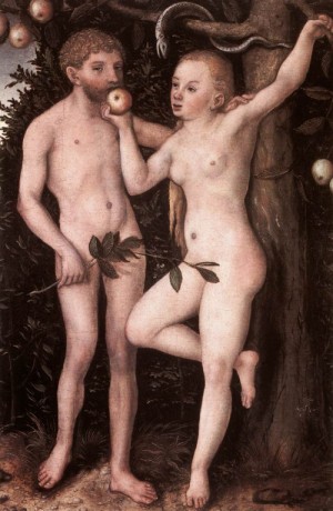 Oil cranach, lucas the elder Painting - Adam and Eve  - c. 1538 by Cranach, Lucas the Elder