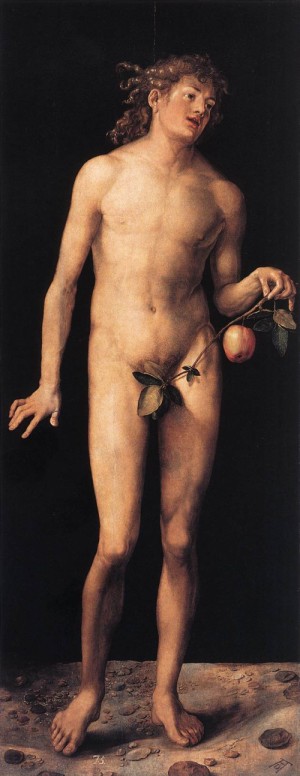 Oil durer, albrecht Painting - Adam   1507 by Durer, Albrecht