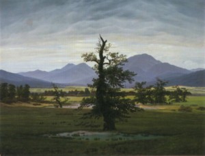 Oil friedrich, caspar david Painting - Solitary Tree    1821 by Friedrich, Caspar David