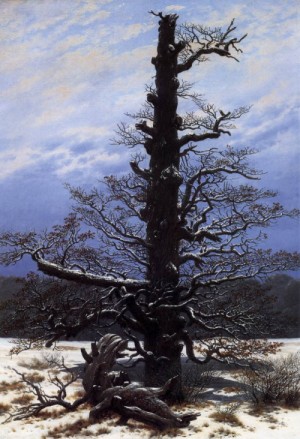 Oil the Painting - The Oaktree in the Snow  1829 by Friedrich, Caspar David