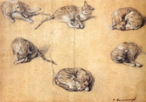  Photograph - Six studies of a cat   1765-70 by Gainsborough, Thomas
