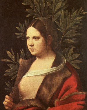 Oil giorgione Painting - Laura, 1506 by Giorgione