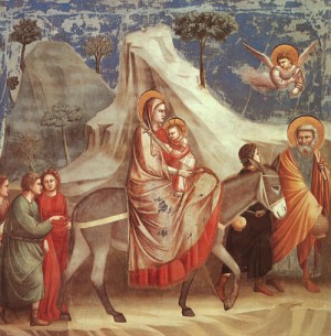 Oil giotto di bondone Painting - Joachim's Dreaml of an angel, 1305-13 by Giotto di Bondone