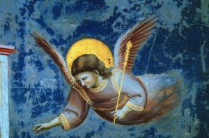 Oil angel Painting - The Presentation at the Temple, detail of an angel, 1305-13 by Giotto di Bondone