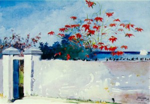 Oil homer, winslow Painting - A Wall, Nassau  1898 by Homer, Winslow