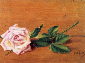 Oil noyes, george loftus Painting - Rose   1887 by Noyes, George Loftus