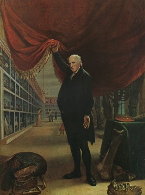Oil peale, charles willson Painting - The Artist in his Museum, 1822, by Peale, Charles Willson