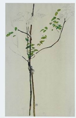 Oil trees Painting - Young Tree by Schiele, Egon