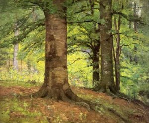 Oil steele, theodore clement Painting - Beech Trees 1895 by Steele, Theodore Clement