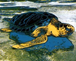 Oil abstract expressionism Painting - Turtle II by Warhol,Andy