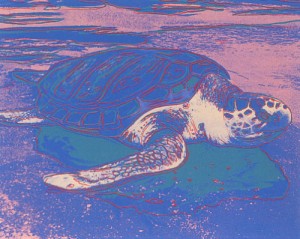 Oil abstract expressionism Painting - Turtle IV by Warhol,Andy