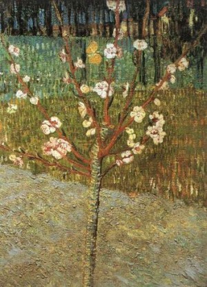Oil tree Painting - Almond Tree in Blossom ,1888 by Vincent ，Van Gogh