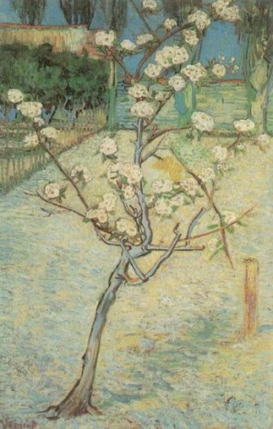 Oil tree Painting - Blossoming Pear Tree,  April, 1888 by Vincent ，Van Gogh