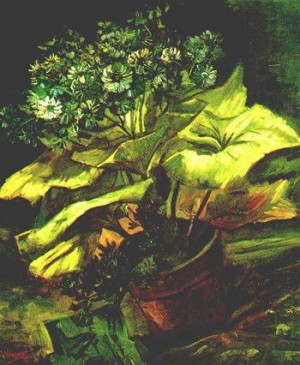 Oil still life Painting - Cineraria in a Flowerpot,1886 by Vincent ，Van Gogh