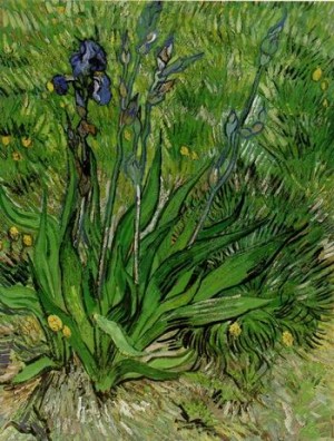 Oil still life Painting - Iris,  1889 by Vincent ，Van Gogh