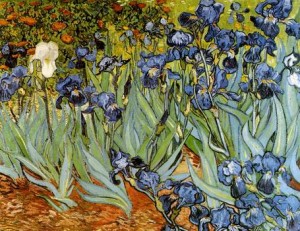 Oil still life Painting - Irises, Saint-Rémy, May, 1889 by Vincent ，Van Gogh