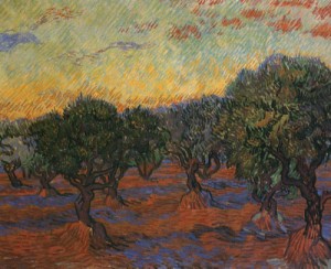 Oil still life Painting - Olive Trees    1889 by Vincent ，Van Gogh