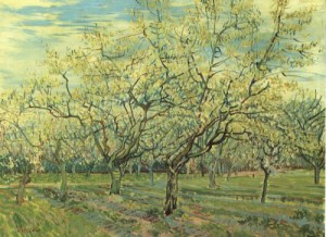 Oil still life Painting - Orchard with Blossoming Plum Trees    1888 by Vincent ，Van Gogh