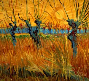 Oil Painting - Pollard Willows With Setting Sun    1888 by Vincent ，Van Gogh