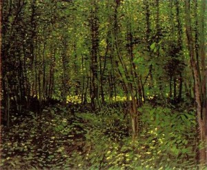 Oil still life Painting - Trees and Undergrowth,1887 by Vincent ，Van Gogh