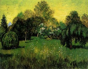 Oil still life Painting - VG-127 by Vincent ，Van Gogh