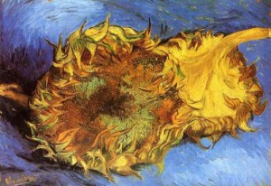 Oil still life Painting - VG-161 by Vincent ，Van Gogh