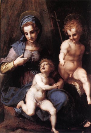 Oil madonna Painting - Madonna and Child with the Young St John  c. 1518 by Andrea del Sarto