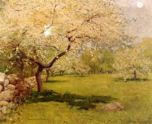 Oil Painting - Apple Blossoms 1896 by Breck, John Leslie