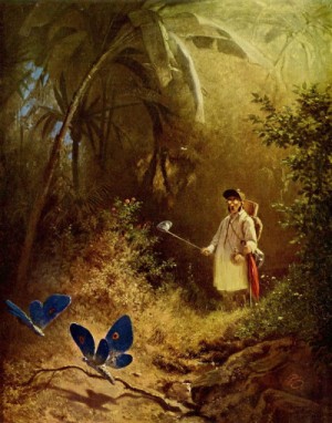 Oil carl spitzweg Painting - A Butterfly Catcher by Carl Spitzweg