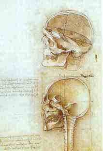 Oil the Painting - Two Views of the Skull. 1489 by Da Vinci,Leonardo