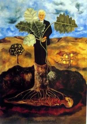 Oil portrait Painting - Portrait of Luther Burbank,1931 by Kahlo,Frida