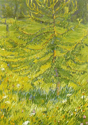 Oil marc,franz Painting - Larch Sapling, 1908 by Marc,Franz