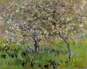 Oil in bloom Painting - Apple Trees in Bloom at Giverny 1900-1901 by Monet,Claud