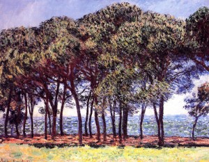 Oil monet,claud Painting - Pine Trees Cap dAntibes 1888 by Monet,Claud