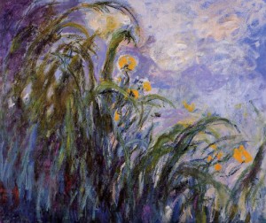 Oil monet,claud Painting - Yellow Irises1 1914-1917 by Monet,Claud