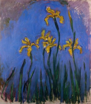 Oil monet,claud Painting - Yellow Irises3 1914-1917 by Monet,Claud