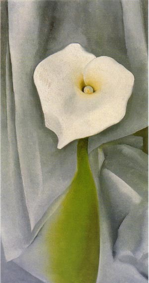 Oil lily Painting - Calla Lily on Grey 1928 by O'Keefe