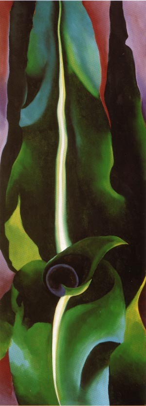 Oil o'keefe Painting - Corn Dark I 1924 by O'Keefe