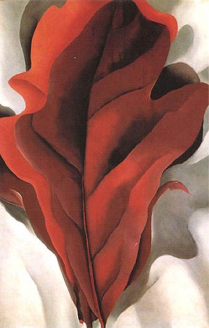 Oil o'keefe Painting - Large Dark Red Leaves on White 1925 by O'Keefe