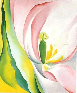 Oil o'keefe Painting - Pink Tulip 1926 by O'Keefe