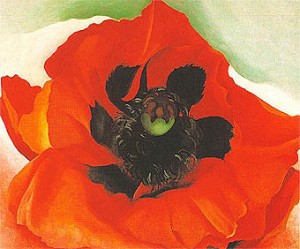 Oil o'keefe Painting - Poppy 1927 by O'Keefe